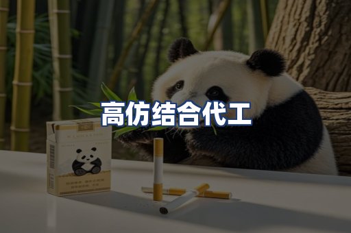 高仿结合代工
